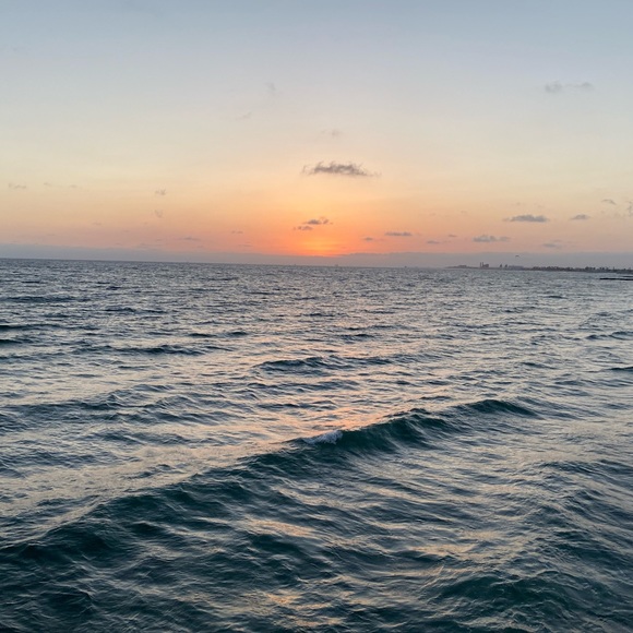 Meet your Posher, Miranda - Picture 1 of 1